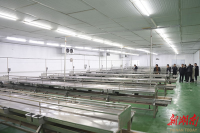 洞庭月歷｜二月·漁民 湖平浪靜，岸邊泊著美好的夢與豐饒的農副產品