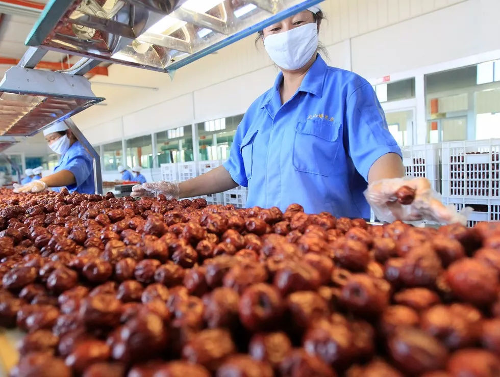 拼出脫貧致富路 一家紅棗合作社的農副產品創業記